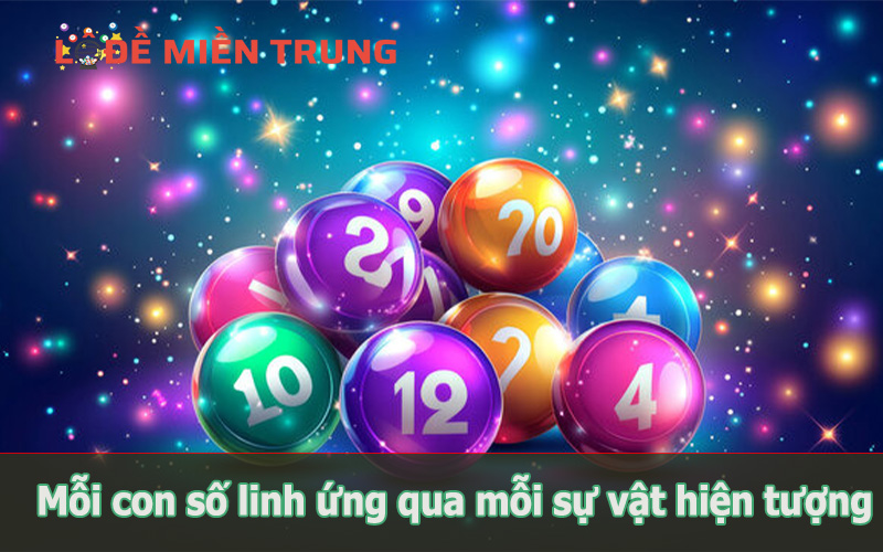 Đánh sớ đầu đuôi quảng Nam theo sổ mơ